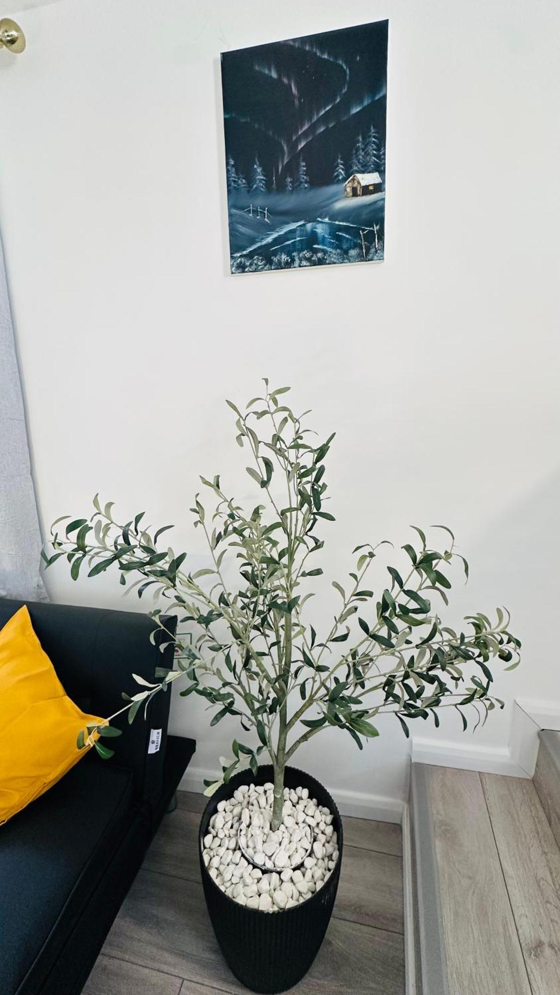 Cosy And Comfy Gazde/Camere de închiriat *